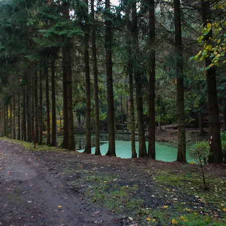 Baerennest Haus * Kirchheim (Hessen)